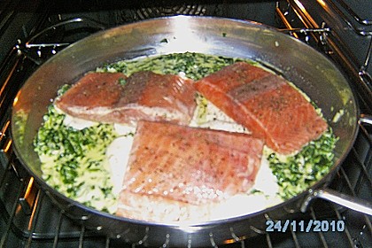 Lachsfilet auf Spinat und Mozzarella 3