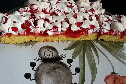 Ribiselkuchen (Johannisbeeren) 8