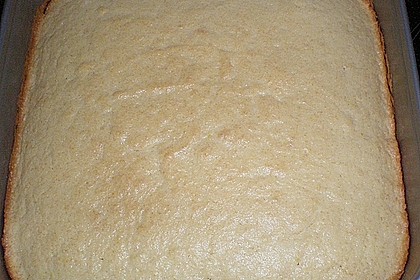 Ribiselkuchen (Johannisbeeren) 66