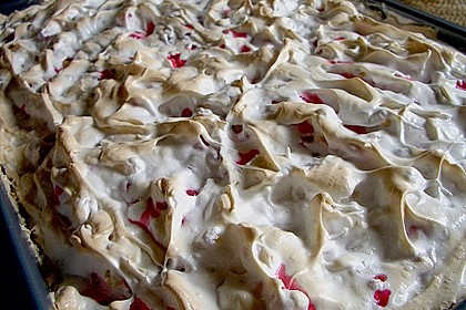 Ribiselkuchen (Johannisbeeren) 28