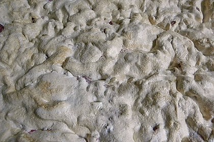 Ribiselkuchen (Johannisbeeren) 70