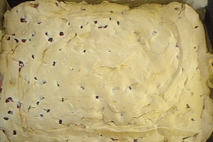 Ribiselkuchen (Johannisbeeren) 71