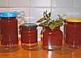 Johannisbeer - Erdbeer - Marmelade mit alkoholisierten Waln&uuml;ssen