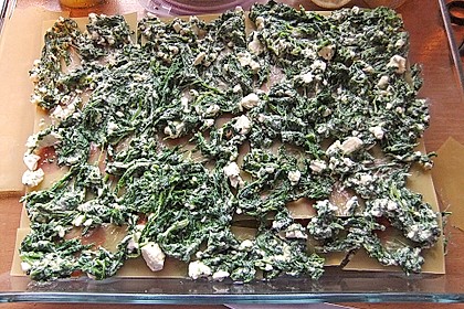 Spinat - Feta - Lasagne 9