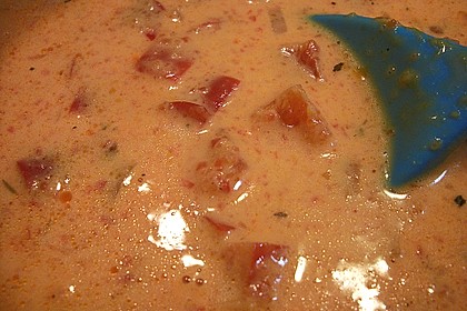 Fruchtige Paprika - Rahm - Soße 26