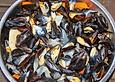 Miesmuscheln, ostfriesische Art