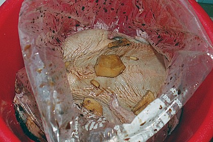 Asiatisches F&uuml;nf - Kr&auml;uter - R&auml;ucherhuhn 2