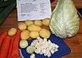 Spitzkohl - M&ouml;hren Eintopf