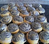 Mohnschnecken (Bild)
