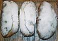 K&uuml;rbis - Stollen