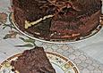 Schokoladen - Quark - Kuchen