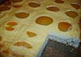 Aprikosenkuchen