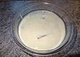 Vanille - Pudding mit Butterkeksen