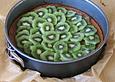 Kiwi - Quarkcreme - Torte