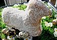 Osterlamm und Osterhase