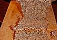 Schwarzbrot