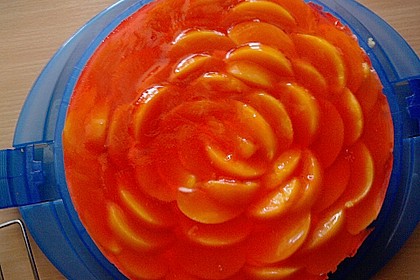 Obstkuchen 7