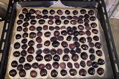 Obstkuchen 14