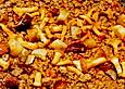 Bandnudeln mit Kalbsragout und Pilzen
