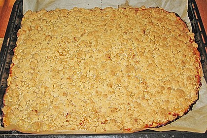 Apfelkuchen mit Streuseln vom Blech 3