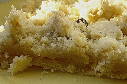 Apfelkuchen mit Streuseln vom Blech 4