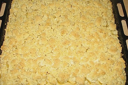 Apfelkuchen mit Streuseln vom Blech 5