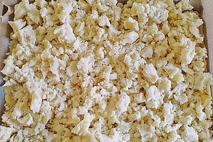 Apfelkuchen mit Streuseln vom Blech 7