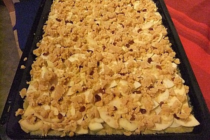 Apfelkuchen mit Streuseln vom Blech 27