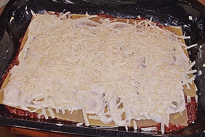 Lasagne Bolognese 107
