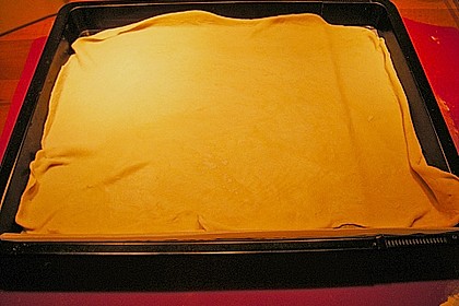 Einfacher Flammkuchen 173