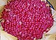 Kokoscreme Kuchen X,   Obst