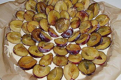Zwetschgenkuchen 118