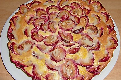 Zwetschgenkuchen 28