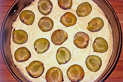 Zwetschgenkuchen 119