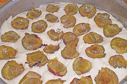 Zwetschgenkuchen 142