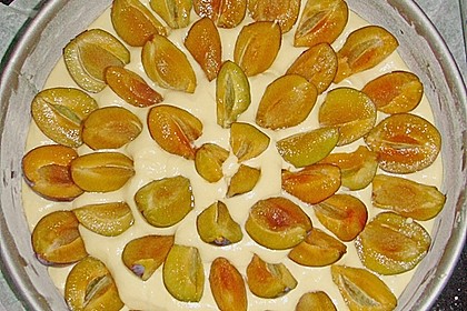Zwetschgenkuchen 136