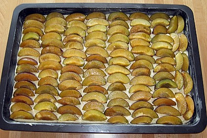 Zwetschgenkuchen 107
