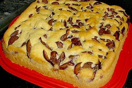 Zwetschgenkuchen 117