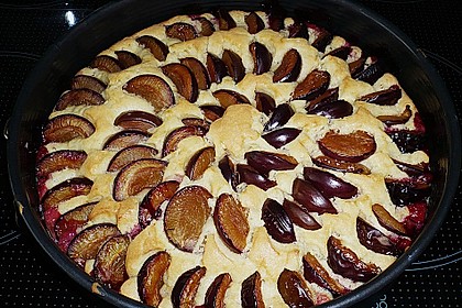Zwetschgenkuchen 113