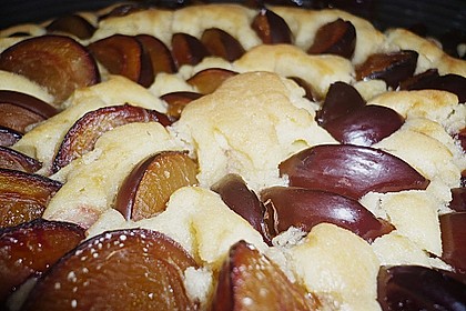 Zwetschgenkuchen 129