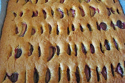 Zwetschgenkuchen 112