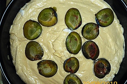 Zwetschgenkuchen 141