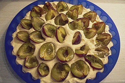 Zwetschgenkuchen 143