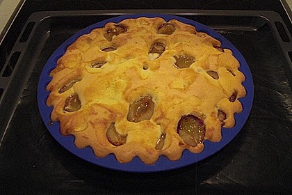 Zwetschgenkuchen 109