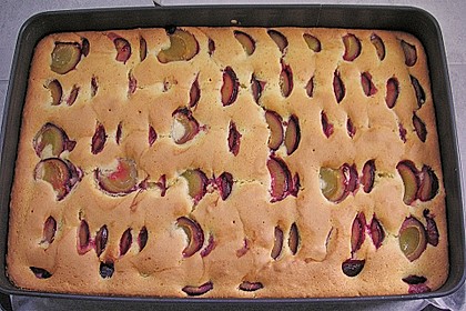 Zwetschgenkuchen 124