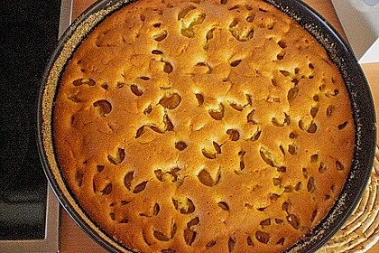 Zwetschgenkuchen 79