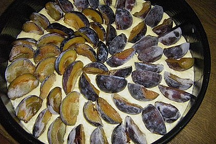 Zwetschgenkuchen 138