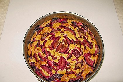 Zwetschgenkuchen 103