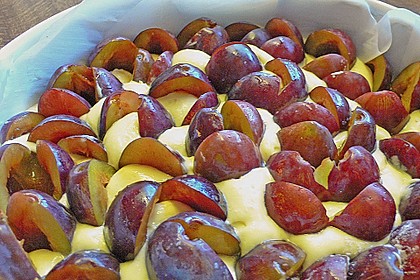 Zwetschgenkuchen 137