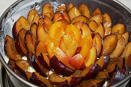 Zwetschgenkuchen 127
